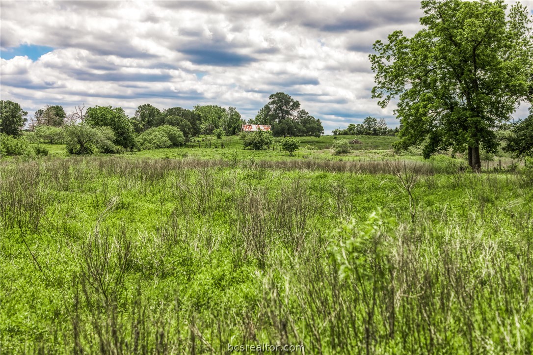 5233 County Road 106