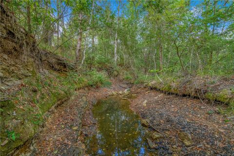 Tiny photo for 5891 Koppe Bridge Road, College Station, TX 77845 (MLS # 25009593)