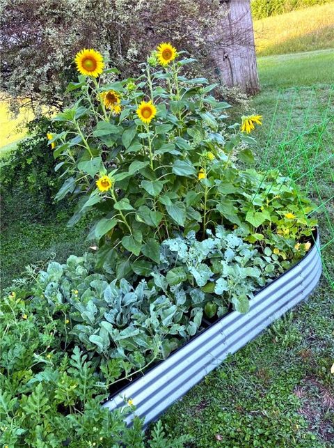 Tiny photo for 2258 County Road 316, Navasota, TX 77868 (MLS # 26000896)