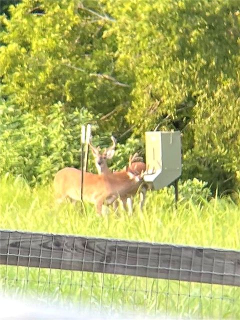 Tiny photo for 2258 County Road 316, Navasota, TX 77868 (MLS # 26000896)