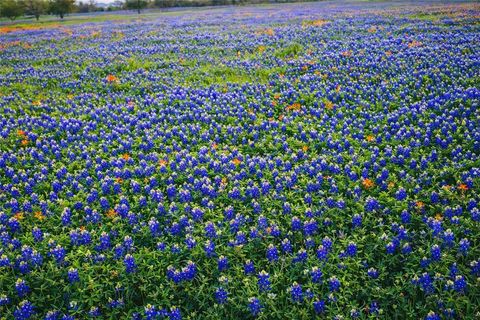 Tiny photo for 2258 County Road 316, Navasota, TX 77868 (MLS # 26000896)