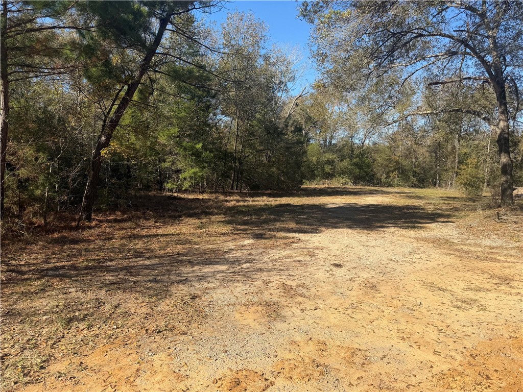 9301 Puddin Lane
