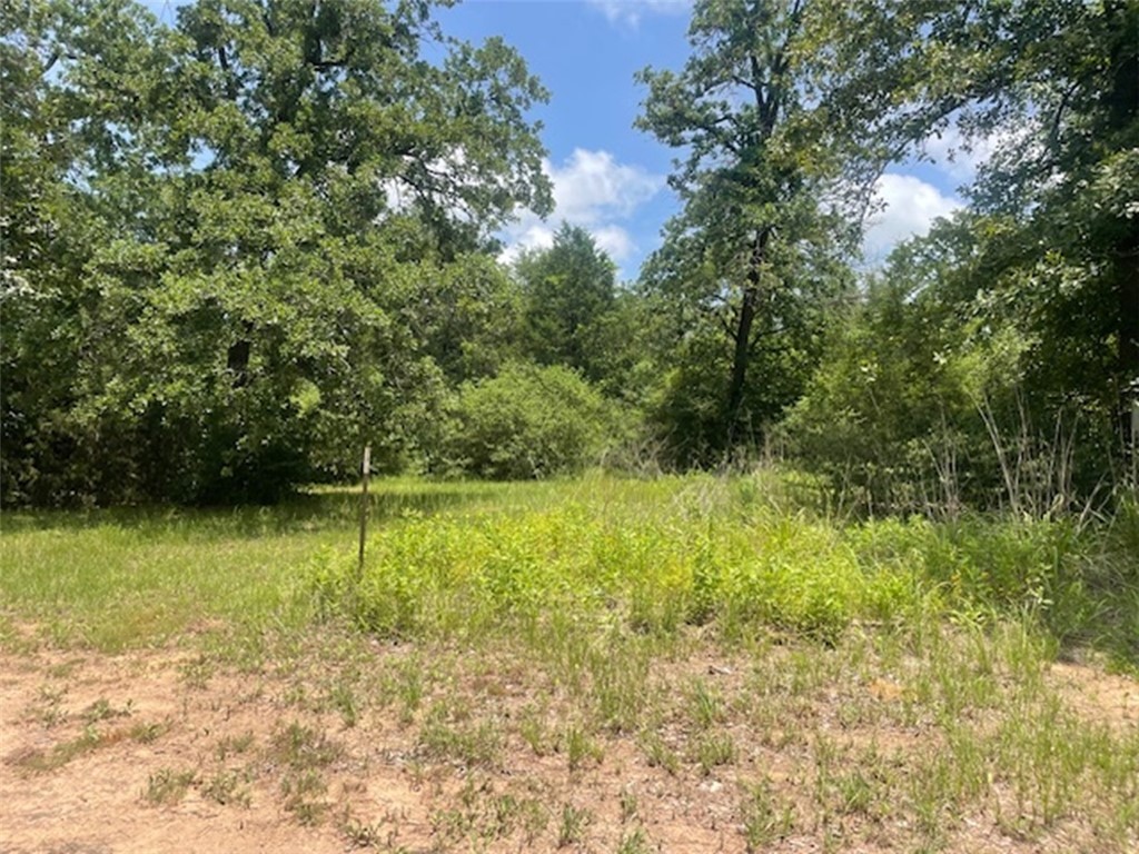 2841 County Road 430