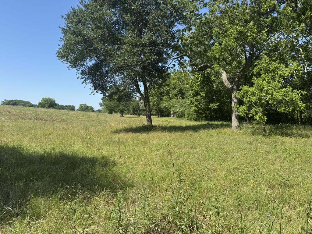 Tract #10 County Road 305