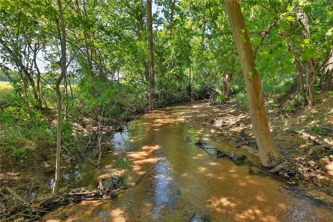 Tract #10 County Road 305