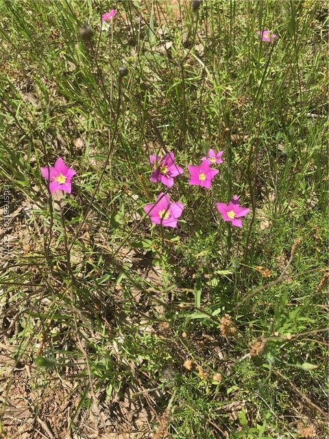 Tiny photo for 332 Deep Creek Lane, Franklin, TX 77856 (MLS # 26011034)
