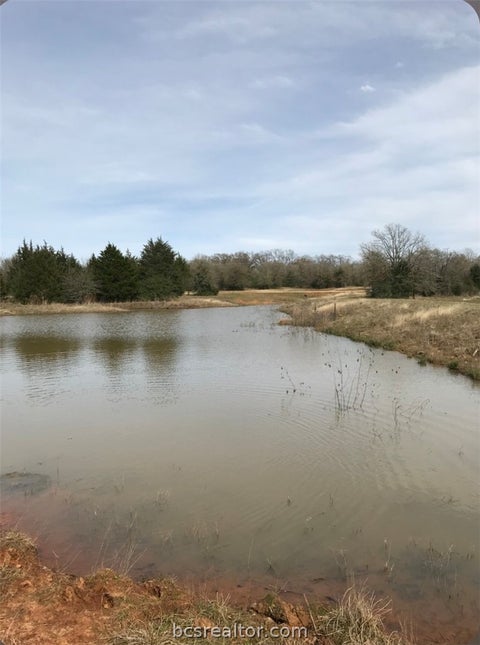 Tiny photo for 332 Deep Creek Lane, Franklin, TX 77856 (MLS # 26011034)