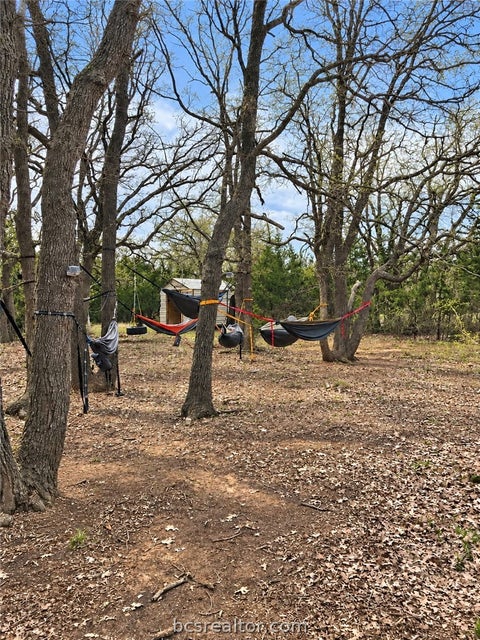Tiny photo for 332 Deep Creek Lane, Franklin, TX 77856 (MLS # 26011034)