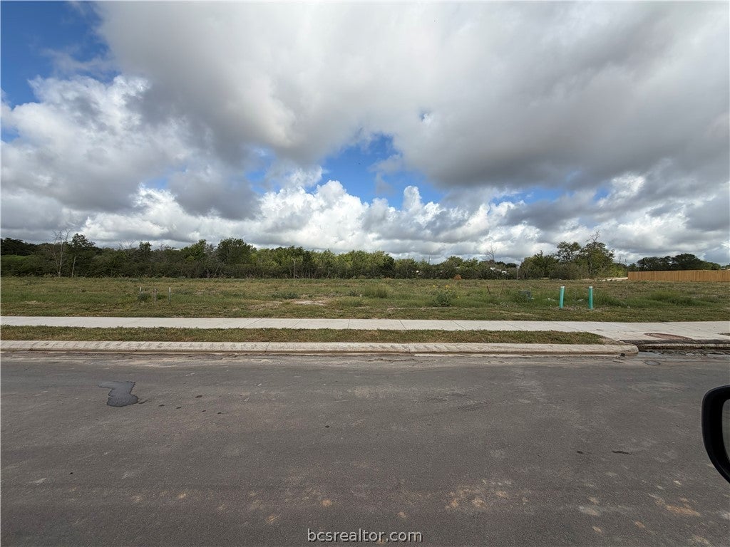 Photo of 2324 Pagosa Springs Drive, Bryan, TX 77803 (MLS # 26010879)
