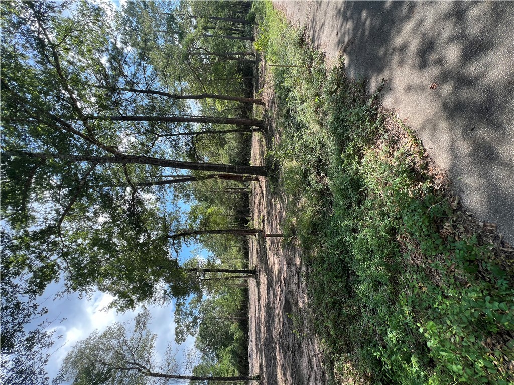 Plantersville, Texas 77363, United States, ,Land,Active,14264