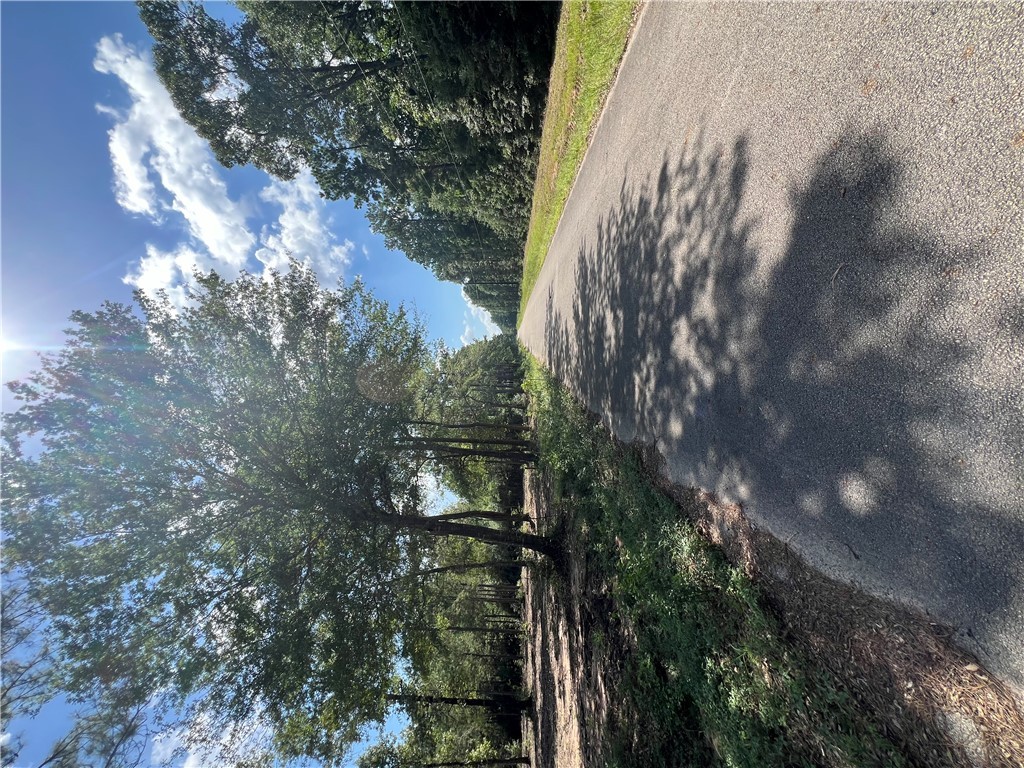 Plantersville, Texas 77363, United States, ,Land,Active,14264