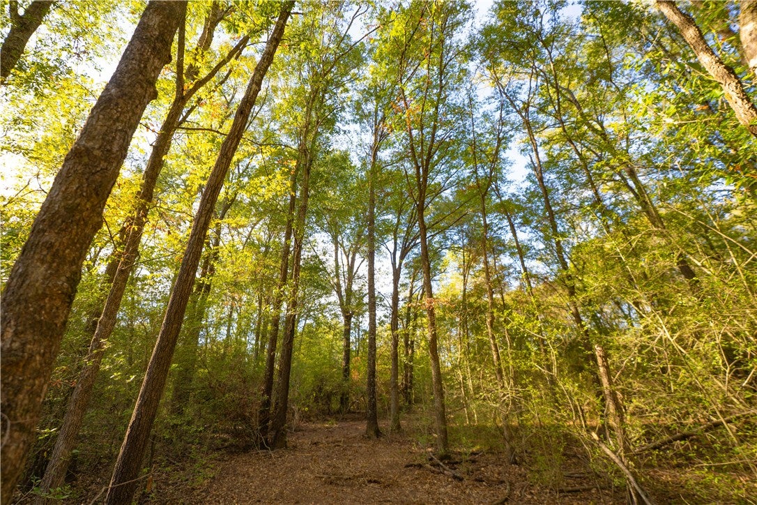 12424 Red Hill Road Lot 18 CountyRoad