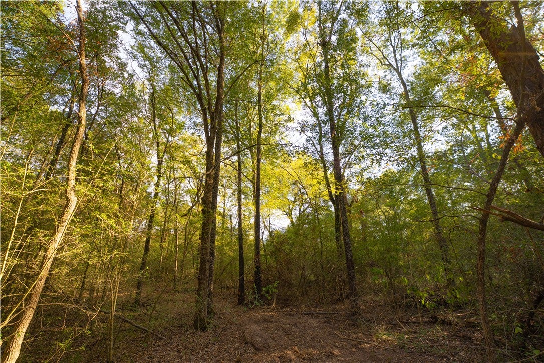 12424 Red Hill Road Lot 18 CountyRoad