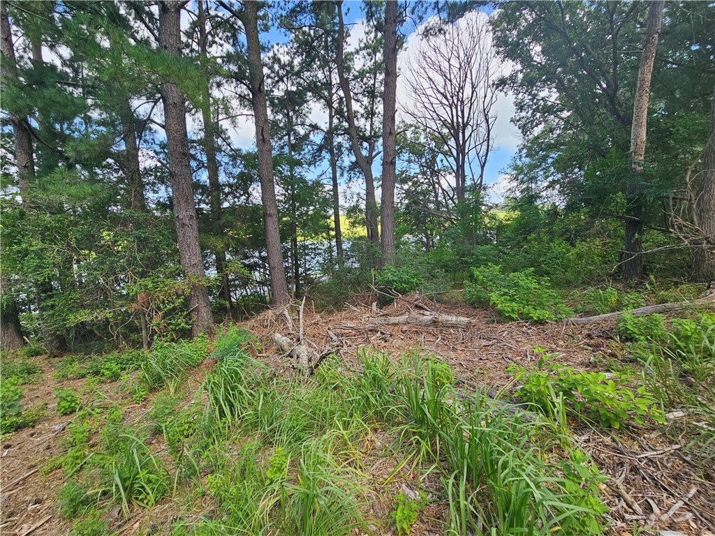 Lot #1 Block 6 Lakeview Drive