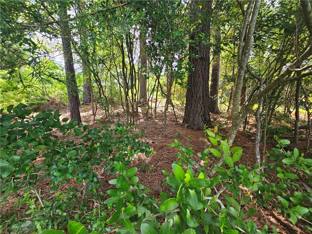 Lot #1 Block 6 Lakeview Drive