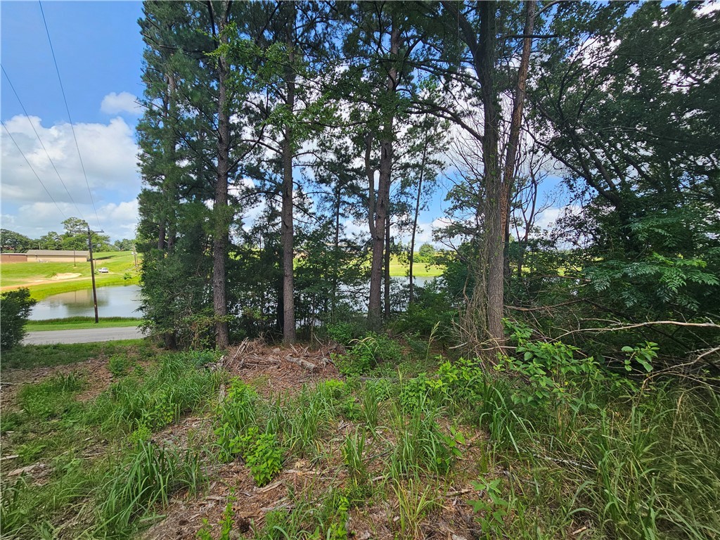 Lot #1 Block 6 Lakeview Drive
