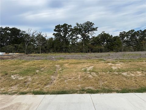 Tiny photo for 4027 Pacific Crest Way, Bryan, TX 77802 (MLS # 26005413)