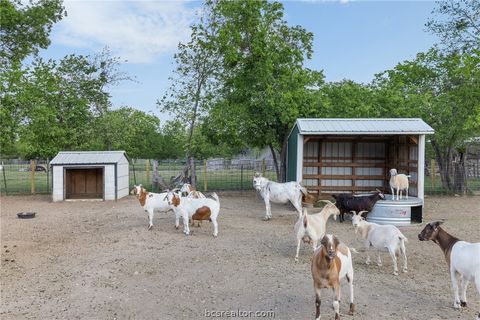 Tiny photo for 203 Saffles Rd Rd, Robinson, TX 76706 (MLS # 26004216)