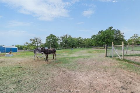 Tiny photo for 203 Saffles Rd Rd, Robinson, TX 76706 (MLS # 26004216)