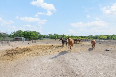 Tiny photo for 203 Saffles Rd Rd, Robinson, TX 76706 (MLS # 26004216)