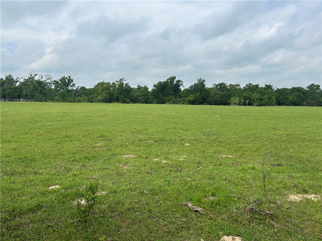 0000 Puckett Ranch Rd CountyRoad