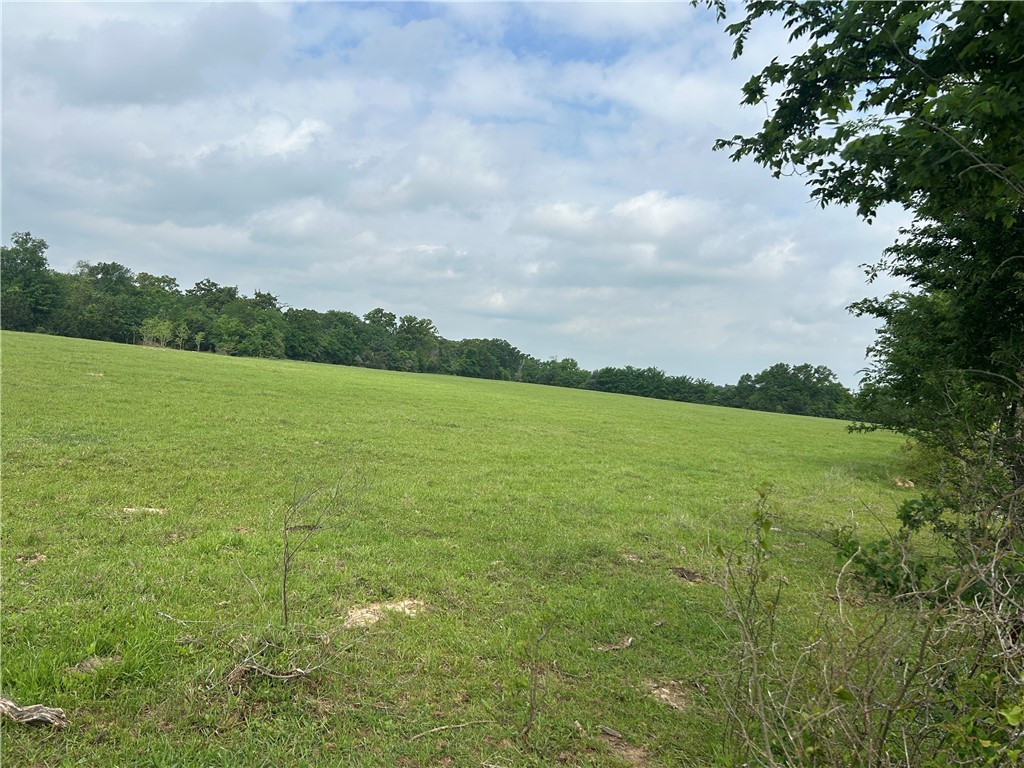 0000 Puckett Ranch Rd CountyRoad