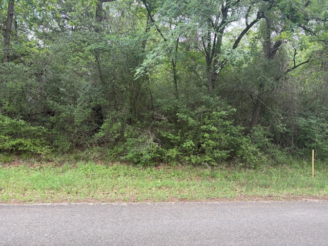 TBD #2 Post Oak Drive E