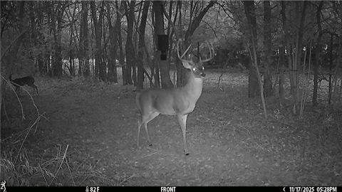 Tiny photo for 11947 Gordon Lane, Bryan, TX 77808 (MLS # 26003534)