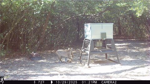 Tiny photo for 11947 Gordon Lane, Bryan, TX 77808 (MLS # 26003534)