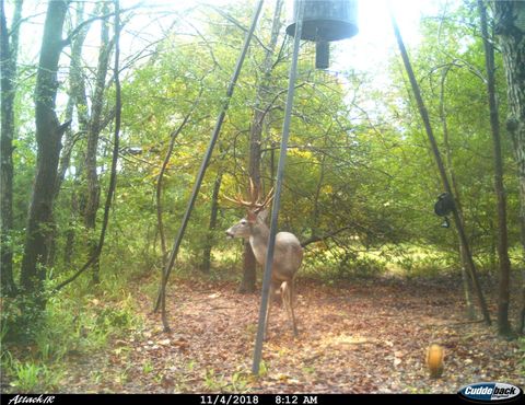 Tiny photo for 11947 Gordon Lane, Bryan, TX 77808 (MLS # 26003534)