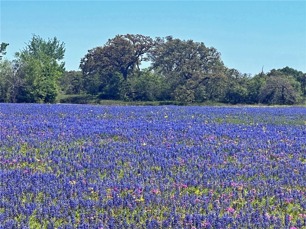 TBD 119 Fm 1227 Road