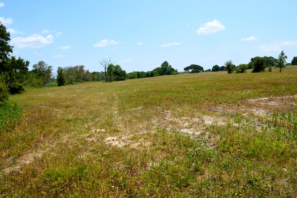 TBD 119 Fm 1227 Road