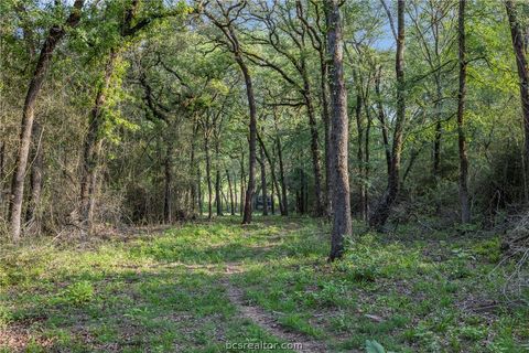 Tiny photo for 3004 County Road 310, Caldwell, TX 77836 (MLS # 26005184)