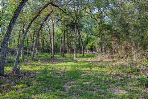 Tiny photo for 3004 County Road 310, Caldwell, TX 77836 (MLS # 26005184)