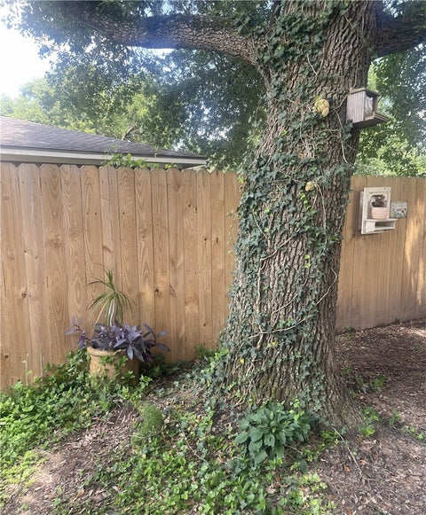 Tiny photo for 206 Heath Avenue, Madisonville, TX 77864 (MLS # 26012092)
