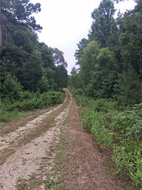 Tiny photo for 5325 County Road 2291, Centerville, TX 75833 (MLS # 26011320)