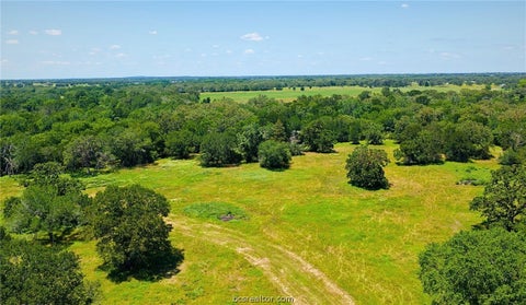 Tiny photo for 5380 County Road 132 (+/-81 acres), Somerville, TX 77879 (MLS # 26011156)