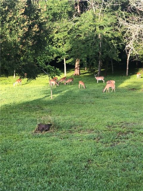 Tiny photo for 3287 Bradley Lane, Brenham, TX 77833 (MLS # 26003669)