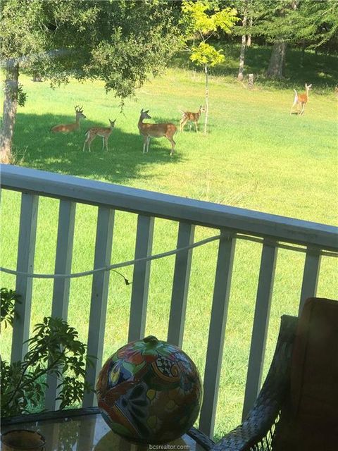 Tiny photo for 3287 Bradley Lane, Brenham, TX 77833 (MLS # 26003669)