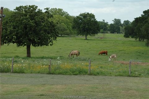 Tiny photo for 8025 State Highway 36 South S, Caldwell, TX 77836 (MLS # 26005720)