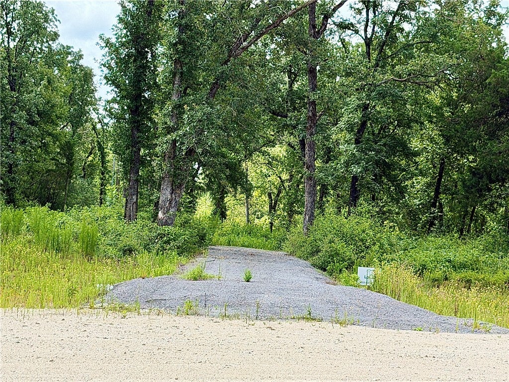 6353 Private Rd. 3443