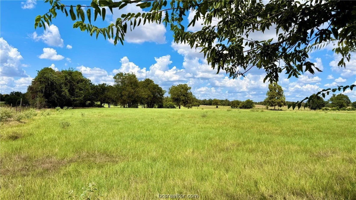 TBD US Hwy 79 (+/-11.5 acres)