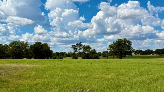 TBD US Hwy 79 (+/-11.5 acres)