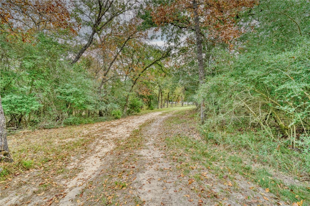 10232 Riley Green Road