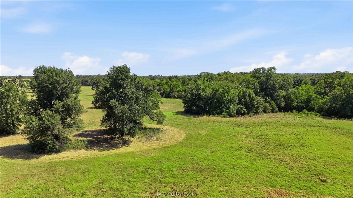 15.18 Acres Little Mississippi Cemetery Road