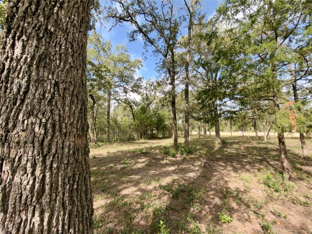 TBD Shumard Oaks Street