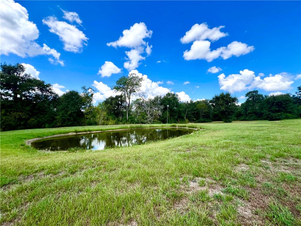 Photo of 11262 Debbie Lane, Iola, TX 77861 (MLS # 26010631)