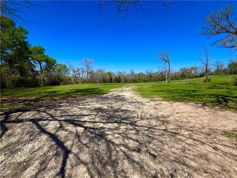 Tiny photo for 11262 Debbie Lane, Iola, TX 77861 (MLS # 26010631)