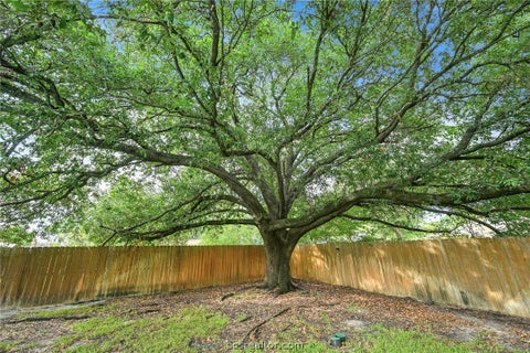 Tiny photo for 1809 Laura Lane, College Station, TX 77840 (MLS # 26011263)