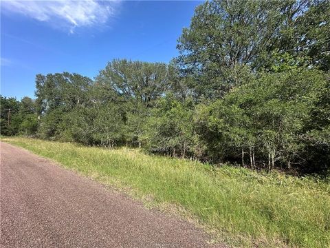 344 and 362 Indian Ridge Dr. Somerville TX 77879